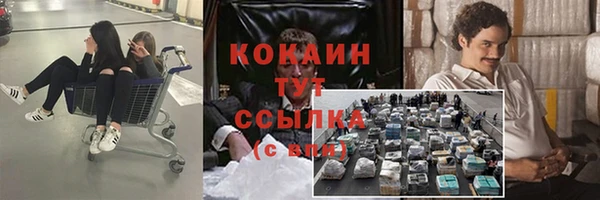 ECSTASY Абаза